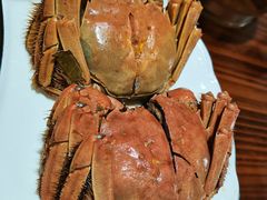 -呼吸森林·生态农庄农家乐私房菜