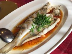 -沪华海鲜大酒楼(南汇店)