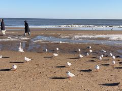 -y SEA·西班牙餐厅(阿那亚·北戴河店)