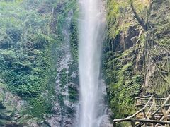 -莫里热带雨林景区