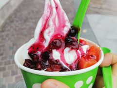 冻酸奶-Salud撒露欧洲冻酸奶(蓝色港湾店)