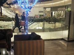 -苏浙总会(国金中心店)
