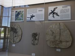 -房山世界地质公园博物馆