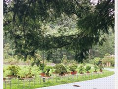 -贵州省植物园