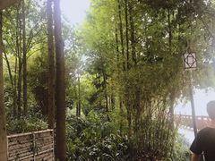 -成都市活水公园