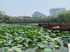 -中国农业博物馆
