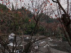 -丹山赤水风景名胜区