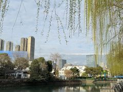 -成都市活水公园