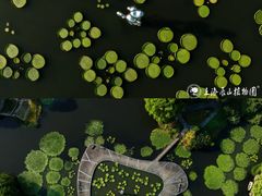 -上海辰山植物园