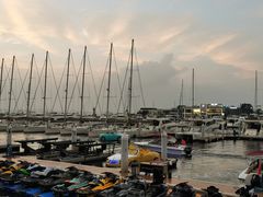 -东港音乐喷泉广场