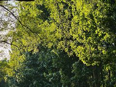 -清真牛街祥云轩门钉肉饼(左家庄店)