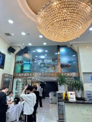 -SOLO Hair Salon
