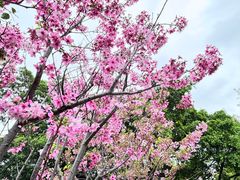 -乌山风景区