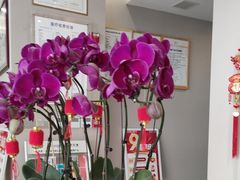 -土豆口腔(凤凰北总店)