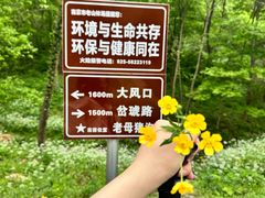 -老山国家森林公园