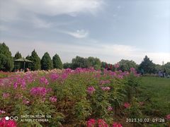 -石家庄市植物园