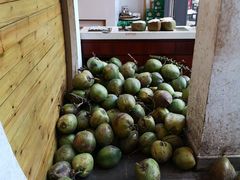 -南国锋味椰子鸡(瀚海店)