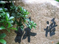@山外山林语-山外山·林语花园餐厅