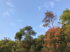 -桂林灵渠景区