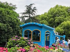-上海滨江森林公园
