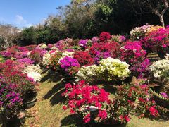 -三亚蜈支洲岛旅游区
