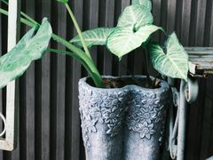 -绿房子方寸咖啡(星海名城店)