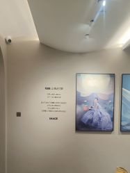 -大树儿童摄影