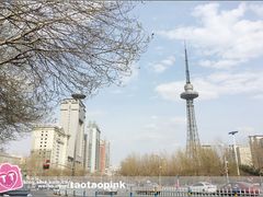 -龙塔