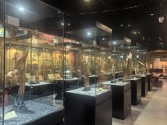-香市公园-中国沉香文化博物馆