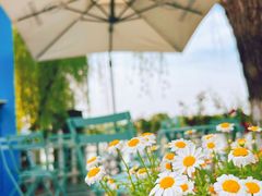 -Beans Solo豆号咖啡(百家湖花园店)