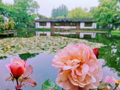 -郭庄景区