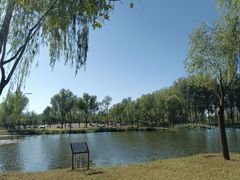 -东郊湿地公园