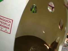 -100蛋泥浆浴