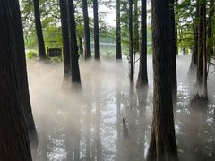 -东湖落雁景区