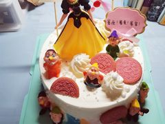 -维尔纳斯·生日蛋糕·动物奶油冰淇淋蛋糕(雨花店)