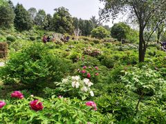 -宝鸡植物园