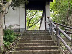 -上海佘山国家森林公园天马山园