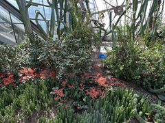 -南山植物园
