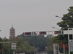 -三水森林公园