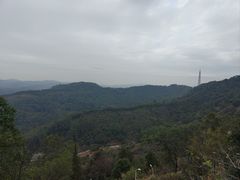 -天鹿湖森林公园