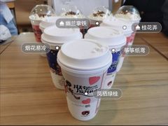 -茶颜悦色(高铁南站店)