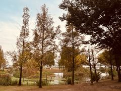 -西山漾湿地公园