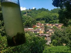 -杨家堂村