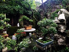 iphone_upload_pic-留荫庐旅馆