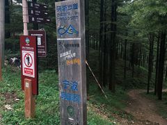 -四明山国家森林公园