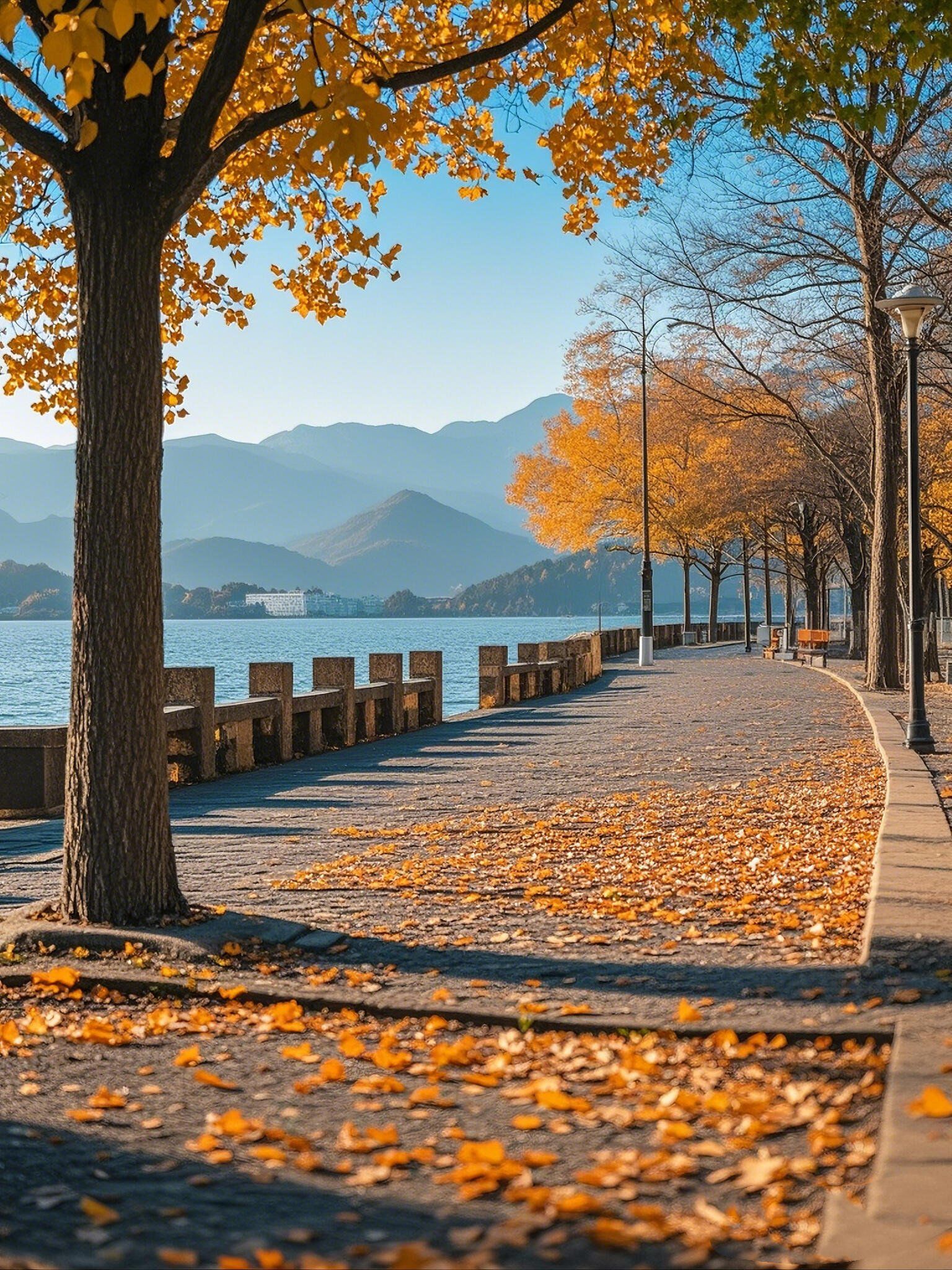 秋季逛公园,风景美如画