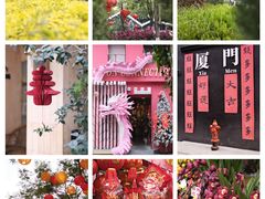 -溪岸路花鸟市场