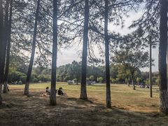 -艾溪湖湿地公园