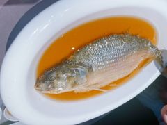 -台鄉缘 ·小海鲜·台州菜(桃林路店)