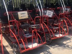 -永定河休闲森林公园